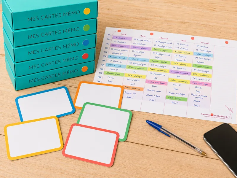 Lot de boîtes de Cartes Mémo